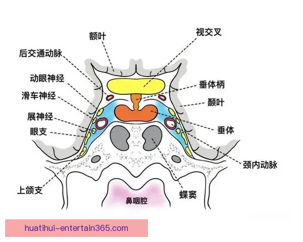 世界杯竞猜赛事走势深度解析与精准预测策略全方位指南